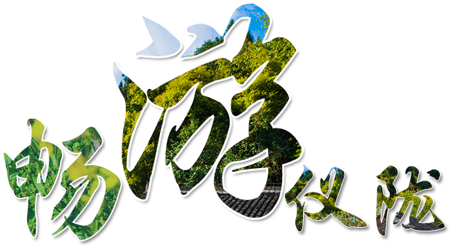 ������¤